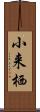 小来栖 Scroll