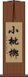 小枇榔 Scroll