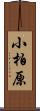 小柏原 Scroll