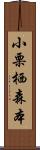 小栗栖森本 Scroll