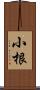 小根 Scroll