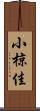 小椋佳 Scroll