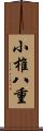 小椎八重 Scroll