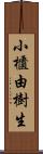 小櫃由樹生 Scroll