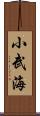 小武海 Scroll
