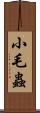 小毛蟲 Scroll