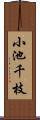 小池千枝 Scroll