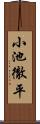 小池徹平 Scroll