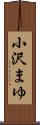 小沢まゆ Scroll