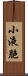 小液胞 Scroll