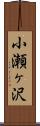 小瀬ヶ沢 Scroll