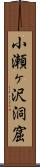 小瀬ヶ沢洞窟 Scroll