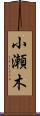 小瀬木 Scroll