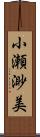 小瀬渺美 Scroll