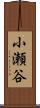 小瀬谷 Scroll