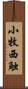 小牧西触 Scroll