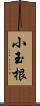 小玉根 Scroll