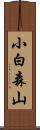 小白森山 Scroll