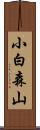 小白森山 Scroll