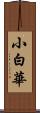 小白華 Scroll