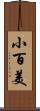 小百美 Scroll