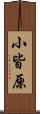 小皆原 Scroll