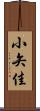 小矢佳 Scroll