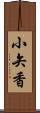 小矢香 Scroll