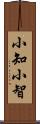 小知 Scroll