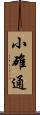 小碓通 Scroll