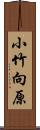 小竹向原 Scroll