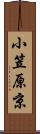 小笠原京 Scroll