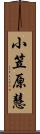 小笠原慧 Scroll