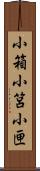 小箱 Scroll