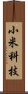 小米科技 Scroll