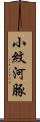 小紋河豚 Scroll