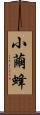 小繭蜂 Scroll