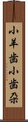 小羊歯 Scroll