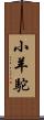 小羊駝 Scroll