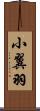小翼羽 Scroll