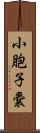 小胞子嚢 Scroll