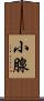 小腺 Scroll