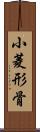 小菱形骨 Scroll