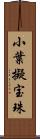小葉擬宝珠 Scroll