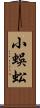 小蜈蚣 Scroll