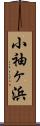 小袖ヶ浜 Scroll