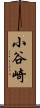 小谷崎 Scroll
