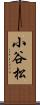 小谷松 Scroll