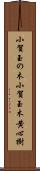 小賀玉の木 Scroll