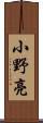 小野亮 Scroll